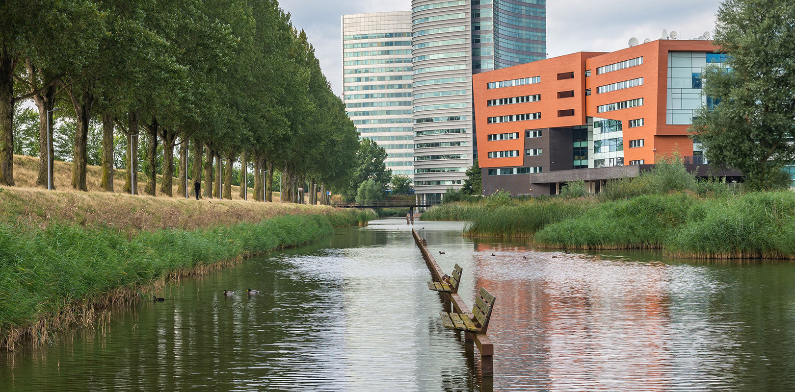 Bestel taarten naar Hoofddorp!