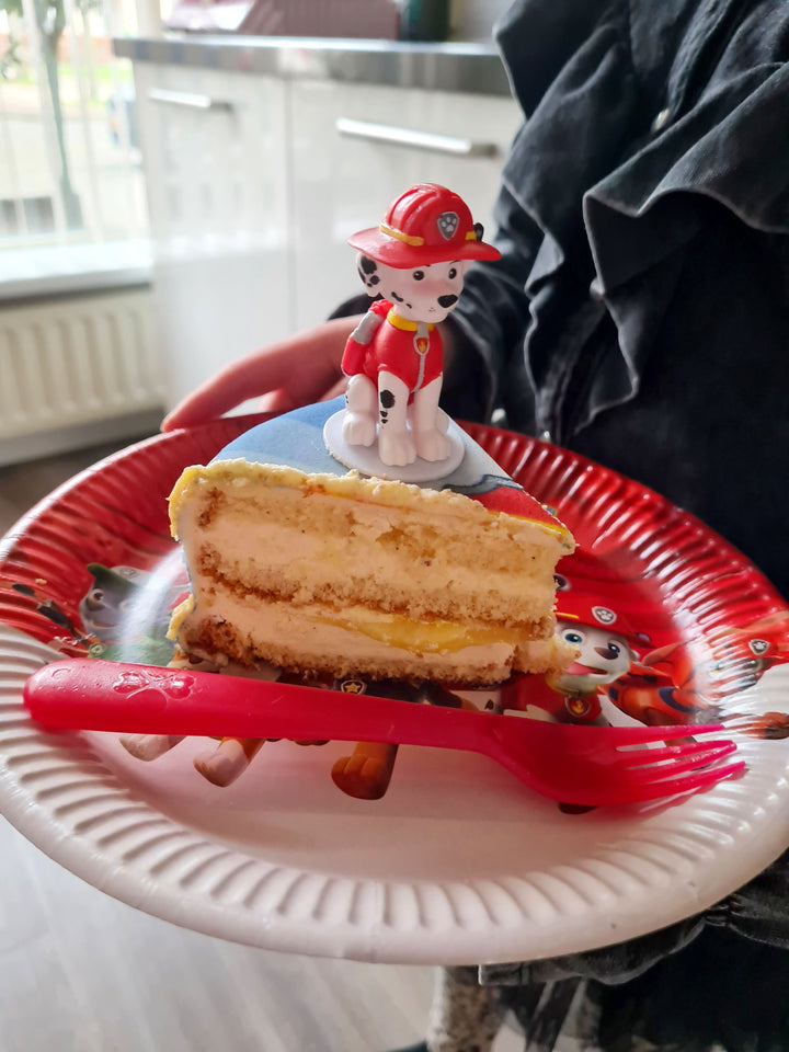 Chase & Marcus de la Pat'Patrouille® sur gâteau