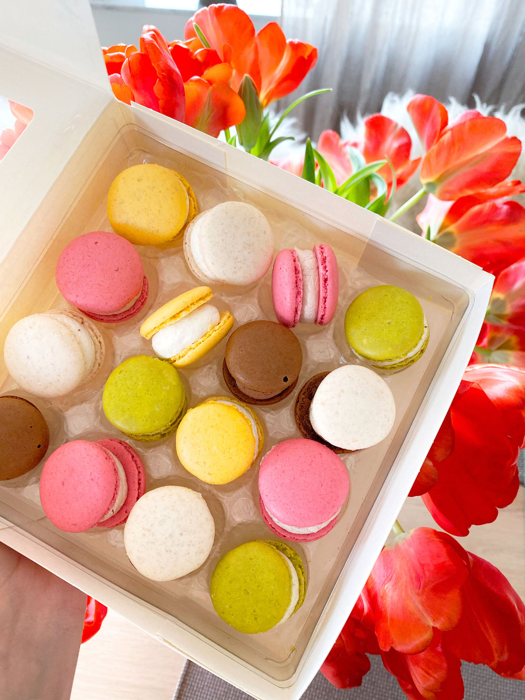 Macarons (16) - collection classique