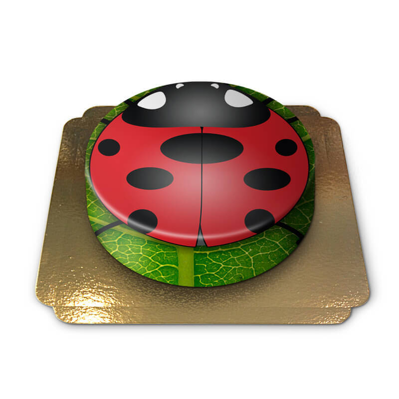 Gâteau Coccinelle